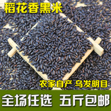 黑米 无染色黑香米农家自产五谷杂粮放心粗粮新黑大米黑米粥250g
