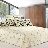 特价促销夏季简约床单单件 棉布纯棉布料双人宿舍学生寝室1.5米1.