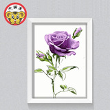 紫粉红玫瑰diy数字油画风景花卉情人礼物手绘客厅卧室装饰画包邮