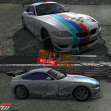 宝马Z4汽车装饰贴纸BMW335iCTCC锦标赛装饰贴 宝马F1比赛专用拉花