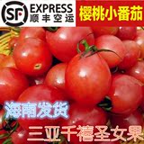 海南三亚 新鲜水果 海南特产千禧圣女果樱桃小西红柿小番茄5斤装