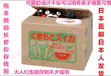 日本代购直邮熊本熊部长KUMAMON偷钱熊存钱硬币储蓄罐存钱罐礼物