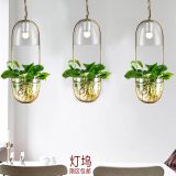 个性创意水草养殖吧台植物吊灯现代简约宜家北欧风格阳台玻璃灯具