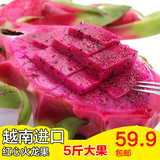越南红心火龙果5斤装 进口水果特产新鲜红肉火龙果 孕妇新鲜水果