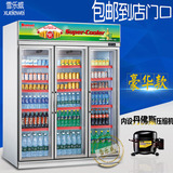 雪乐威三门饮料展示柜立式冷藏保鲜柜超市饮料柜商用饮品冰柜包邮