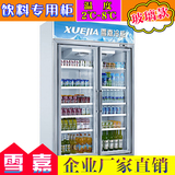 商用雪嘉KTV饮料冷藏展示柜立式啤酒冰柜三门双门饮料饮品保鲜柜