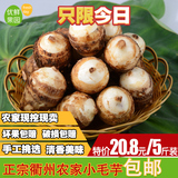 优果新鲜小毛芋头 香芋头芋艿新鲜蔬菜衢州特产农家自种产品芋子