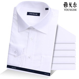 雅戈尔长袖白色衬衫DP纯棉免烫男士商务长袖条纹衬衣小领19002