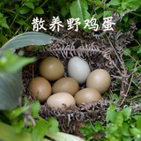 野鸡蛋30枚七彩山鸡蛋杂粮散养野鸡蛋新鲜土鸡蛋农家草鸡蛋 野鸡