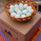 【格格鲜】包邮农家土鸡蛋橘园散养乌鸡绿壳鸡蛋孕妇月子 20个/盒