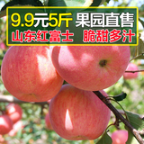 【亏本冲量】山东烟台苹果红富士水果新鲜栖霞5斤包邮特价包邮