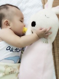公仔毛绒玩具小兔子宝宝抱枕兔娃娃一对纯色款花朵款PP棉兔公兔兔