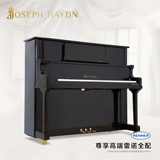 全新德国钢琴 Joseph Haydn S28立式专业钢琴 雷诺全配