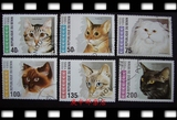 外国邮票 贝宁猫科动物家庭宠物猫邮票6全盖销 波斯猫 黑脸猫
