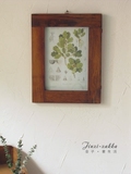 旧木画框 植物图谱 彩绘装饰画 复古 实木画框 相框 壁饰 现货