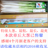 山东济南特产 2015章丘大葱礼盒包装新鲜蔬菜水果特价超值促销