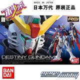 现货 万代 正品 RG 11 1/144 Destiny Gundam 命运 高达 模型