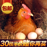 陕西农家散养新鲜土鸡蛋 原生态有机富硒月子笨鸡蛋30枚包邮促销