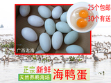 广西海边散养新鲜海鸭蛋 天然绿色 生 土鸭蛋  无饲料 25个包邮