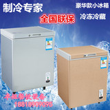 穗凌 BD-100小冰箱 冷冻冷藏 单温商用冰箱 卧式冰箱家用豪华冰箱