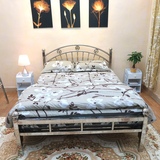 不锈钢床 欧式家具双人床1.8米 1.5米 单人床 铁艺床架/可定制304