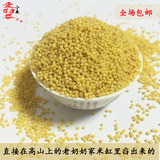 农家小米杂粮 小黄米自种纯天然有机小米无添加无污染小米产品