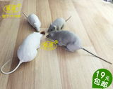 威源仿真老鼠整人玩具道具模型 仿真动物手工艺 wy415