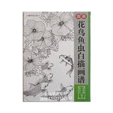 中国画花鸟鱼虫白描画稿 花卉鸟虫画法图书鸟类鱼类工笔基础书籍