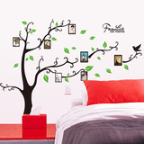 绿色环保照片墙不干胶pvc防水创意家居相片树 卧室装饰背景墙贴纸