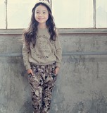 韩国童装女童2016春季新款纯棉时尚运动韩版卫衣哈伦裤子两件套装