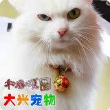 日本 KOJIMA猫姬 和风猫项圈 带铃铛猫项圈 [大小可调.多色可选]