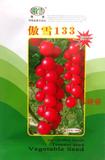 傲雪133樱桃小番茄种子 红圣女果 无限生长 抗TY病毒 糖度高
