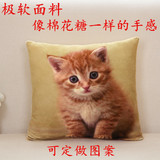 极软猫咪卡通抱枕私人订制沙发靠垫办公室床头靠背汽车腰3D逼真枕