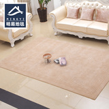 进口纯羊毛地毯 卧室餐厅床边客厅沙发 现代简约纯色 满铺 可定制