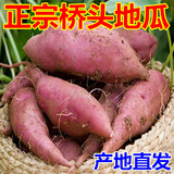 海南澄迈桥沙地瓜5斤 新鲜黄心红薯天然富硒种植农家桥头番薯
