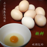 土鸡蛋农家散养  新鲜 30枚纯天然正宗柴鸡蛋 笨鸡蛋包邮 tujidan