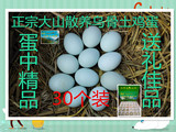 重庆正宗大山散养乌骨鸡蛋 纯天然农家树林散放养乌骨绿壳土鸡蛋