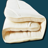 珊瑚绒榻榻米床垫加厚海绵 床褥子可折叠地铺垫被1.5M1.8m米冬季1