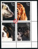 2016年爱尔兰邮票 宠物 犬 狗 猎狼犬 赛特犬 牧羊犬和凯利蓝4全