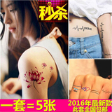 性感韩国纹身贴纸防水男女卡通个性情侣持久英文字母小清新纹身贴