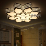 新品时尚铁艺LED吸顶灯花朵客厅卧室灯饰现代暖光书房灯具