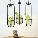 原生态水培植物吊灯 美式简约创意个性餐厅阳台铁艺玻璃LED吊灯
