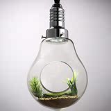 kc美式创意玻璃植物花瓶大灯泡绿植吊灯餐厅个性射灯田园装饰灯饰