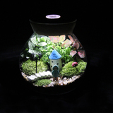 苔藓微景观带灯生态瓶奇趣植物创意办公室绿植diy迷你盆栽摆件