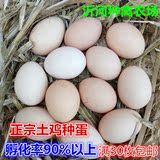 正宗农家散养土鸡种鸡蛋受精种蛋可孵化小鸡苗孵化用蛋