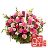 上海市区鲜花速递 花篮鲜花手提篮子 玫瑰花康乃馨 祝福慰问探望