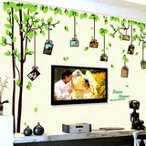 绿树照片墙贴客厅沙发电视背景墙纸卧室贴纸可移除浪漫装饰壁贴画