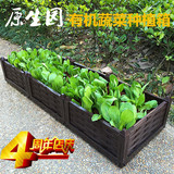 特大蔬菜种植箱  阳台种菜盆设备  长方形塑料花盆  花槽花架包邮