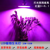 led植物生长灯多肉植物补光大棚种植光合作用花卉育苗散光吊钩式