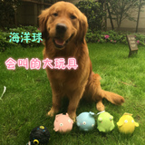 日本原单海洋球大狗玩具耐咬磨牙天然乳胶金毛萨摩哈士奇阿拉斯加